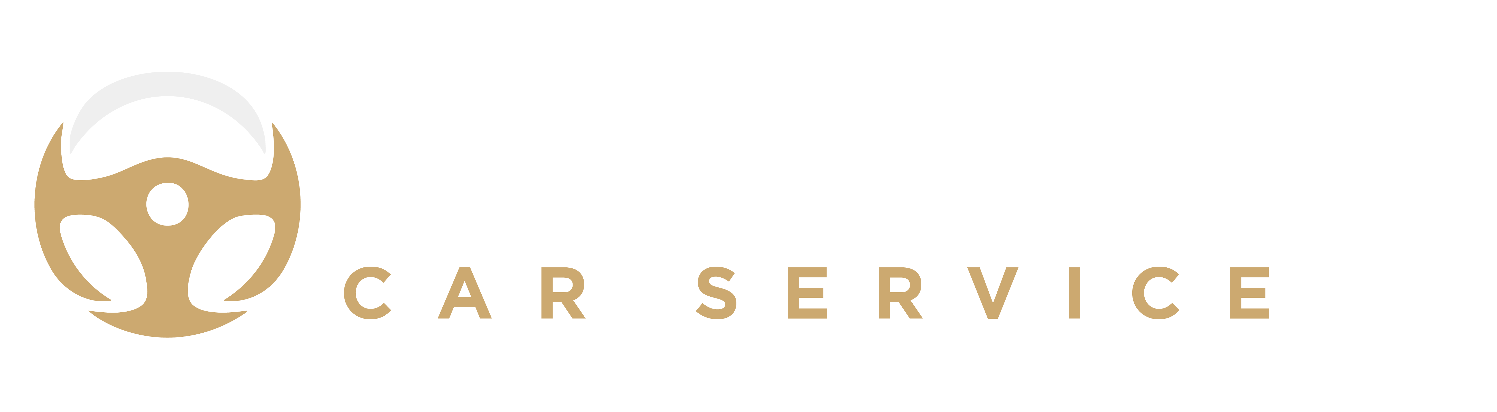 BlackWay Car Service